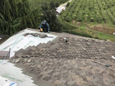 Shingle Roofing Contractor
