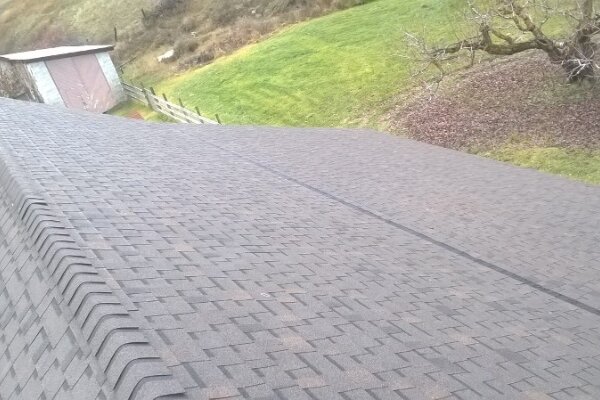 Shingle Roof Projects